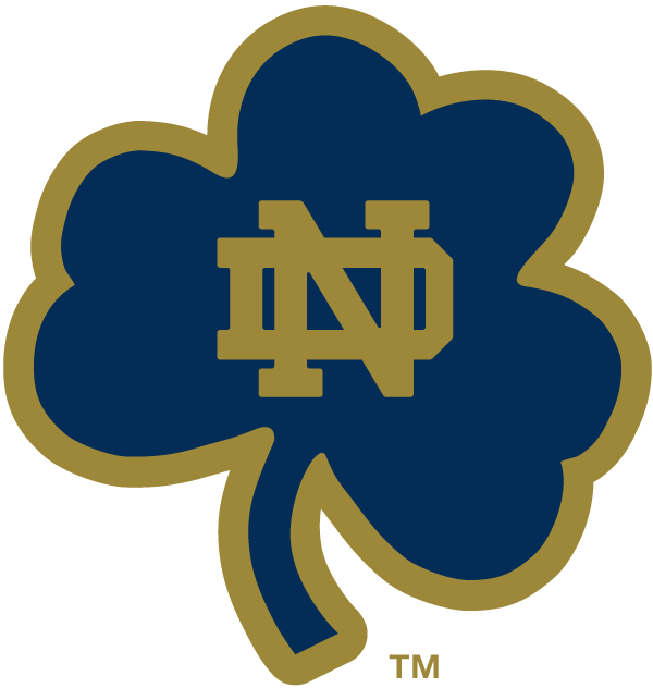 Notre Dame Fighting Irish 1994-Pres Alternate Logo 15 iron on paper